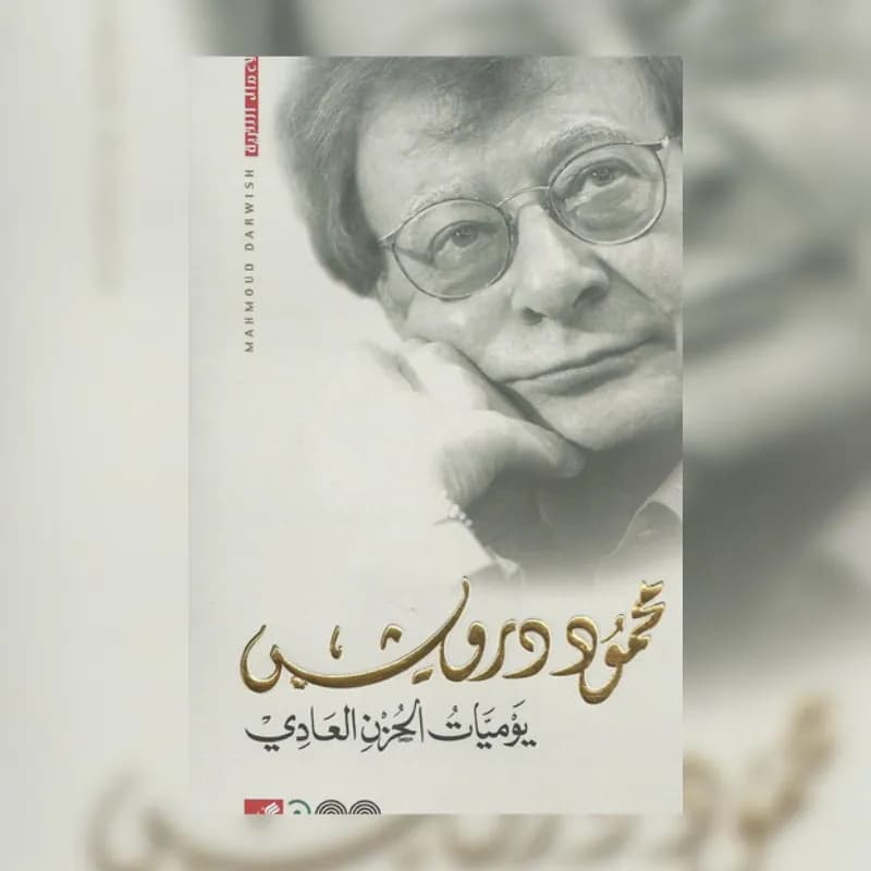يوميات الحزن العادى