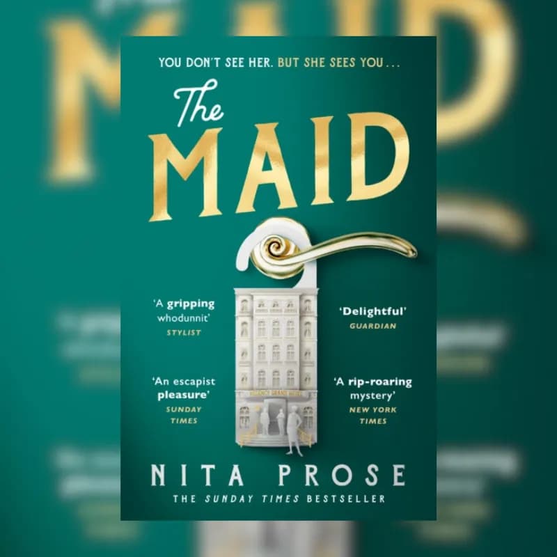 The Maid Book 1