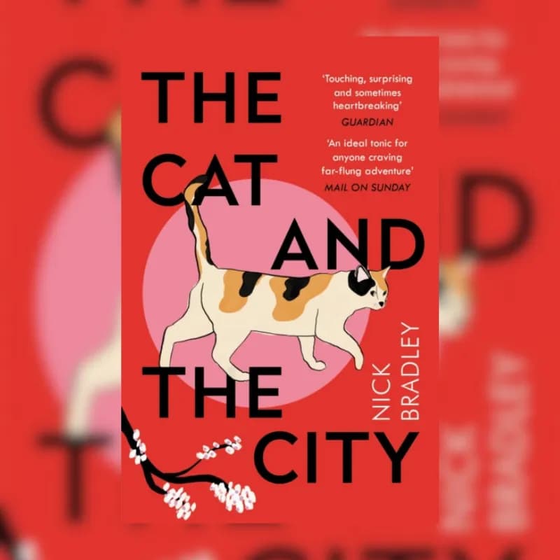 The Cat and The City