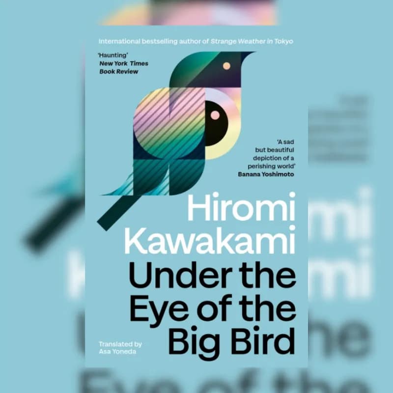 Under the Eye of the Big Bird