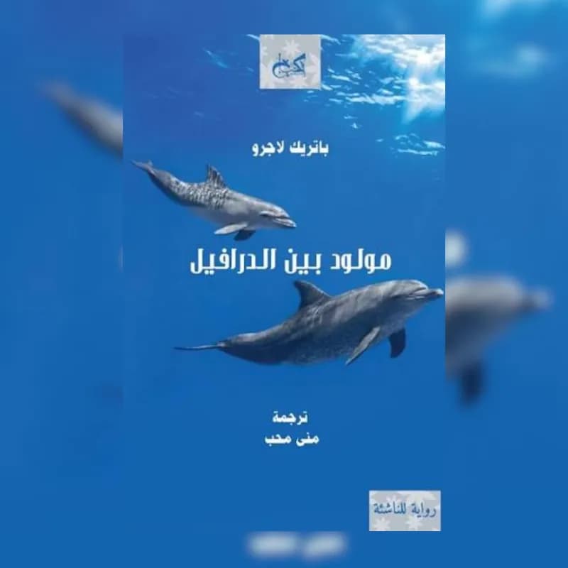 مولود بين الدرافيل