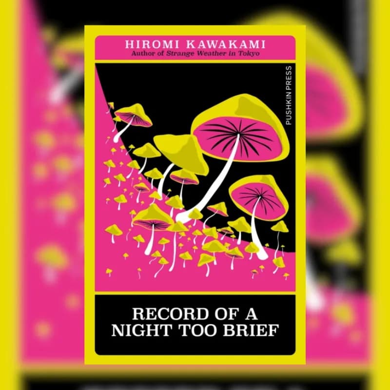 Record of a Night Too Brief
