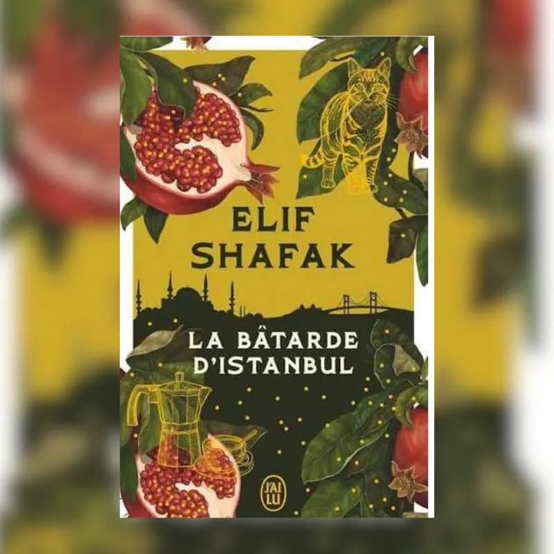 La bâtarde d'Istanbul