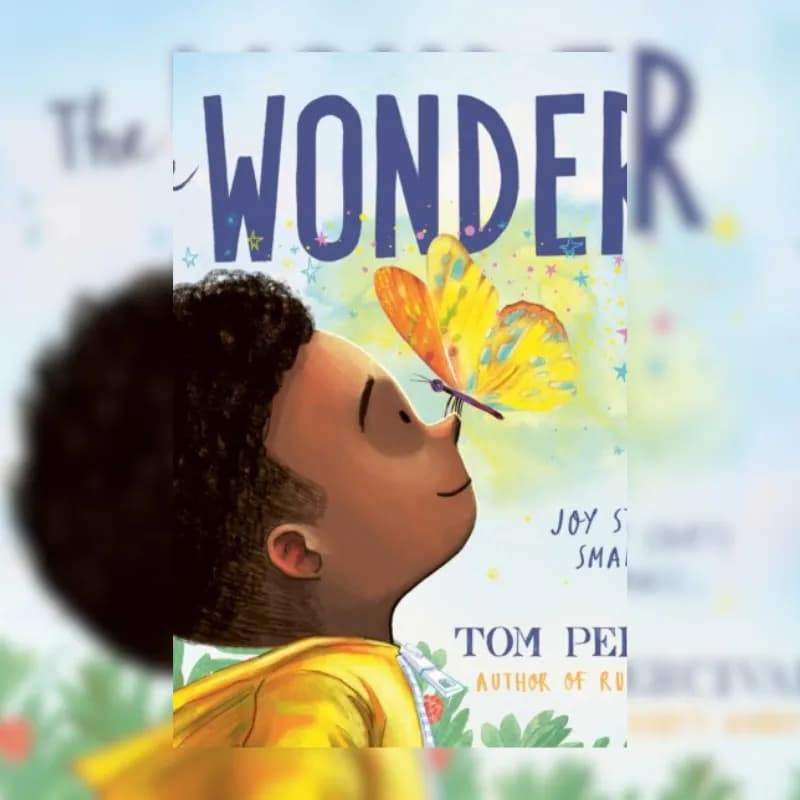 The Wonder